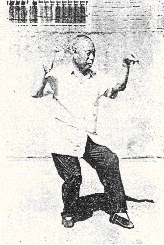 Grandmaster Wei demonstrating the  mantis stance