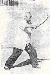 Grandmaster Wei demonstrating the  tiger set stance